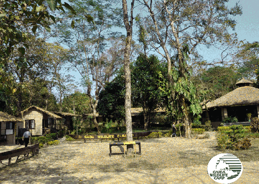 Chitwan Lodge