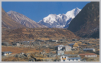 Langtang village.