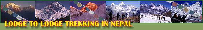 Lodge Trekking in Nepal. 