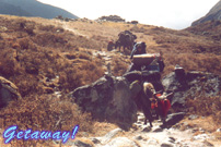 Singalila - Gochela Trek, Sikkim. 